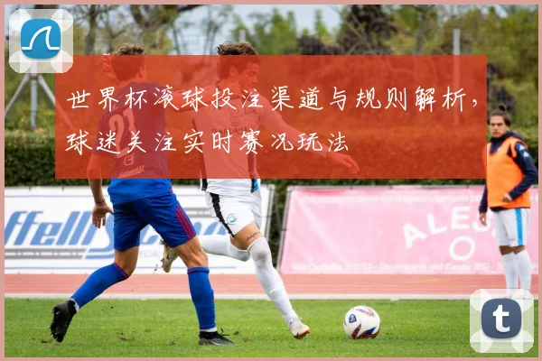 世界杯滚球投注渠道与规则解析，球迷关注实时赛况玩法