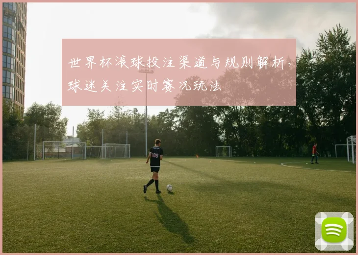 世界杯滚球投注渠道与规则解析,球迷关注实时赛况玩法