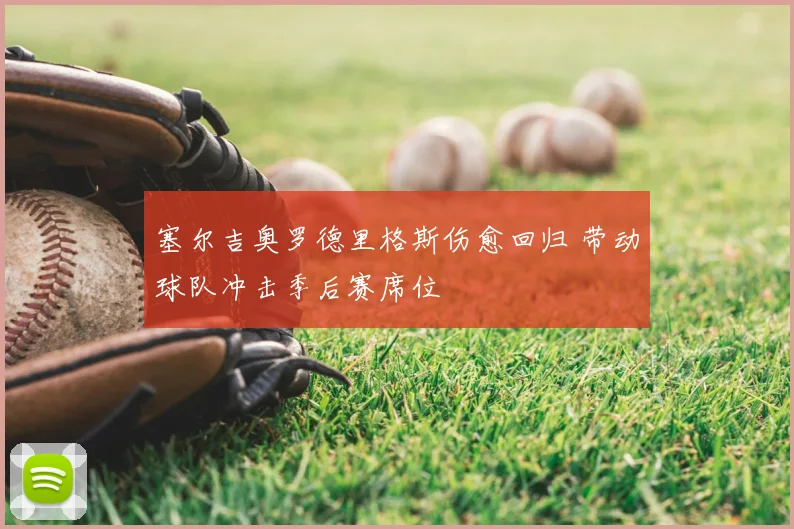 塞尔吉奥罗德里格斯伤愈回归 带动球队冲击季后赛席位