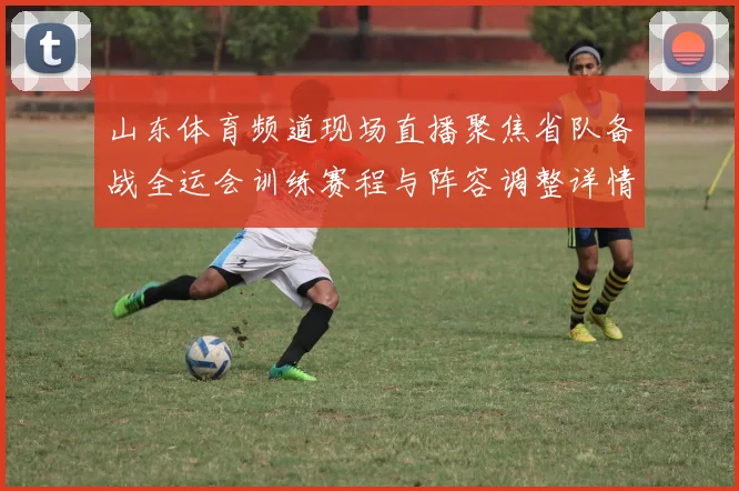 山东体育频道现场直播聚焦省队备战全运会训练赛程与阵容调整详情