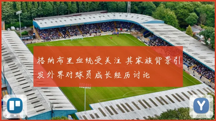 格纳布里血统受关注 其家族背景引发外界对球员成长经历讨论